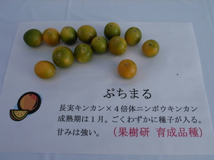 R0010011