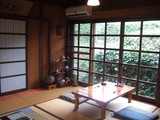 山野草3