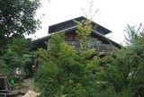 山野草2