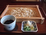 山野草4