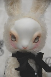 a3DSC_0389