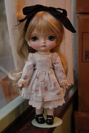 aDSC_0978