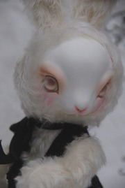 a2DSC_0332