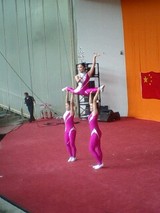 6c0353f3.jpg