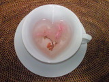 桜茶