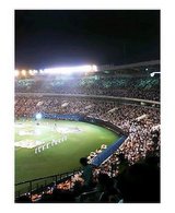 88e3d409.jpg