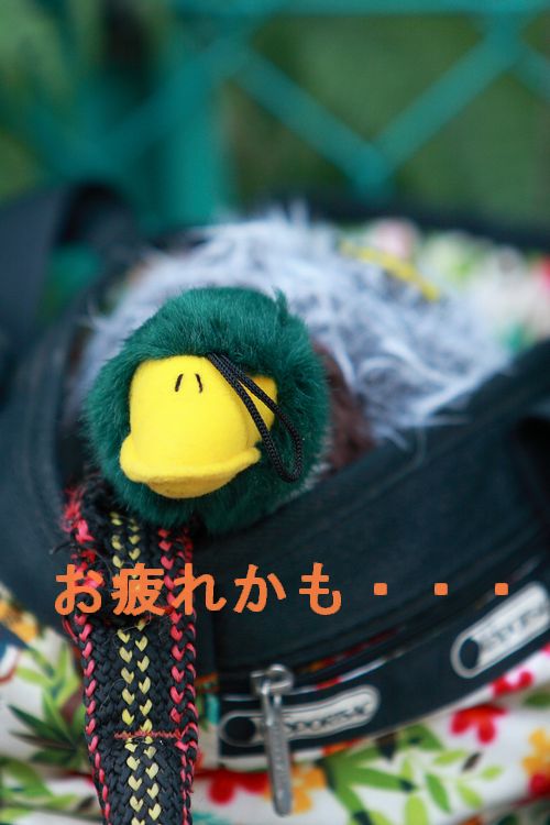 大仕事を終えて
