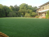 明治記念館 鶺鴒