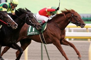 アソート東スポ杯
