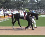 3e696430.JPG