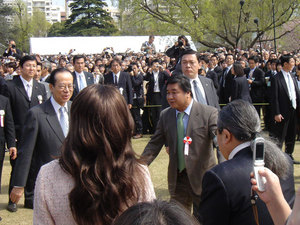 桜の会