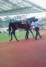 5ddf6982.JPG