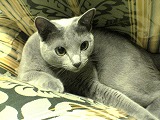 a874ab01.jpg
