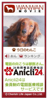 inu