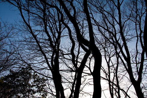 ��