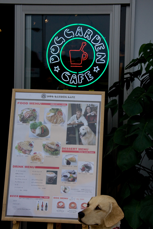 Cafe