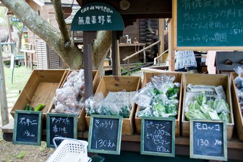̵�������