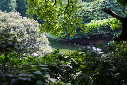 NegishiPark
