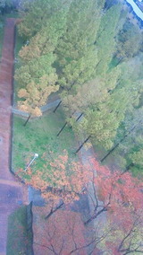 79f004d5.jpg