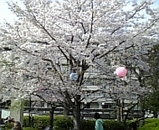 c4e136a1.jpg