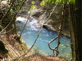 渓流