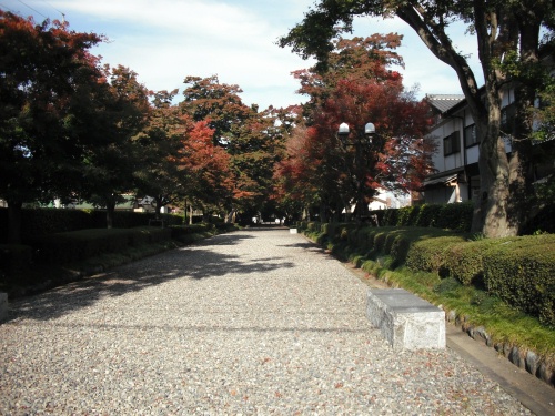 大山参道