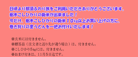 栃木コシヒカリ新米