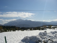 �����20081122