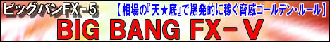 ¥Ó¥Ã¥¯¥Ð¥óFX5