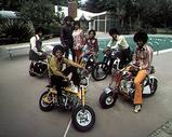 Jacksons