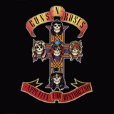 appetitefordestruction.jpg