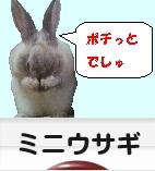 �ˤۤ�֥���¼ �������֥��� �ߥ˥�������