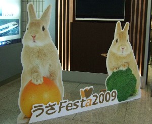 うさフェス2 021