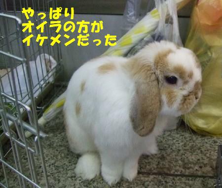 ももちくん7