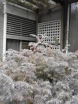 0f9730ec.JPG