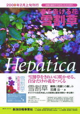 a9852f5e.jpg