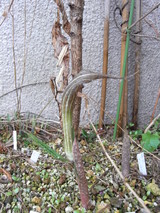 �餭�Ϥ�