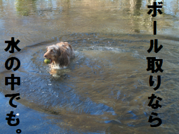 ¥Ü¡¼¥ë¼è¤ê¤Ê¤é¿å¤ÎÃæ¤Ç¤â¡£