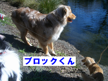 °ìÈ֤绤Á¤ã¤ó¤Ç¤¹