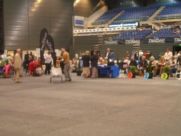 ¥Ö¥ì¥Ö¥ì