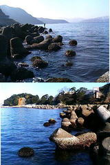 1d704f17.jpg