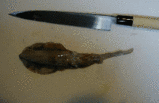 3fc9d2de.gif
