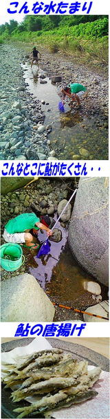53cafd14.jpg