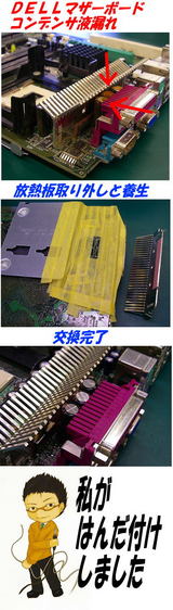 308f4686.jpg