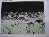 d01556cc.jpg