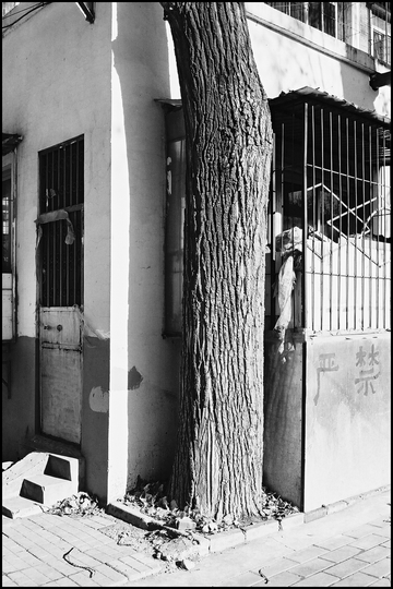 beijing20091114_04