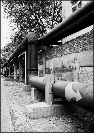 beijing20091024_05
