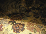 maru