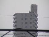 ビル②