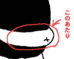 下腹図解